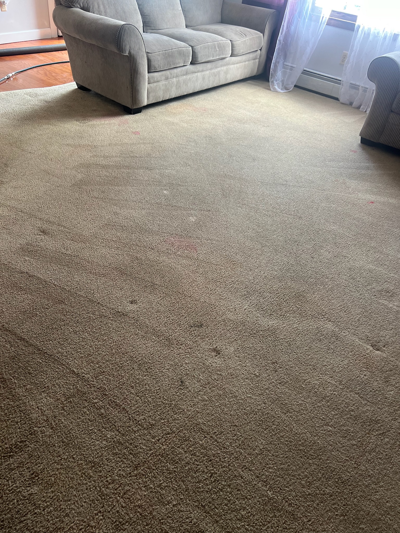 Clean Carpet 2