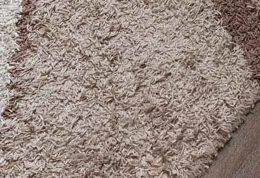 Technician performing hot water extraction on carpet